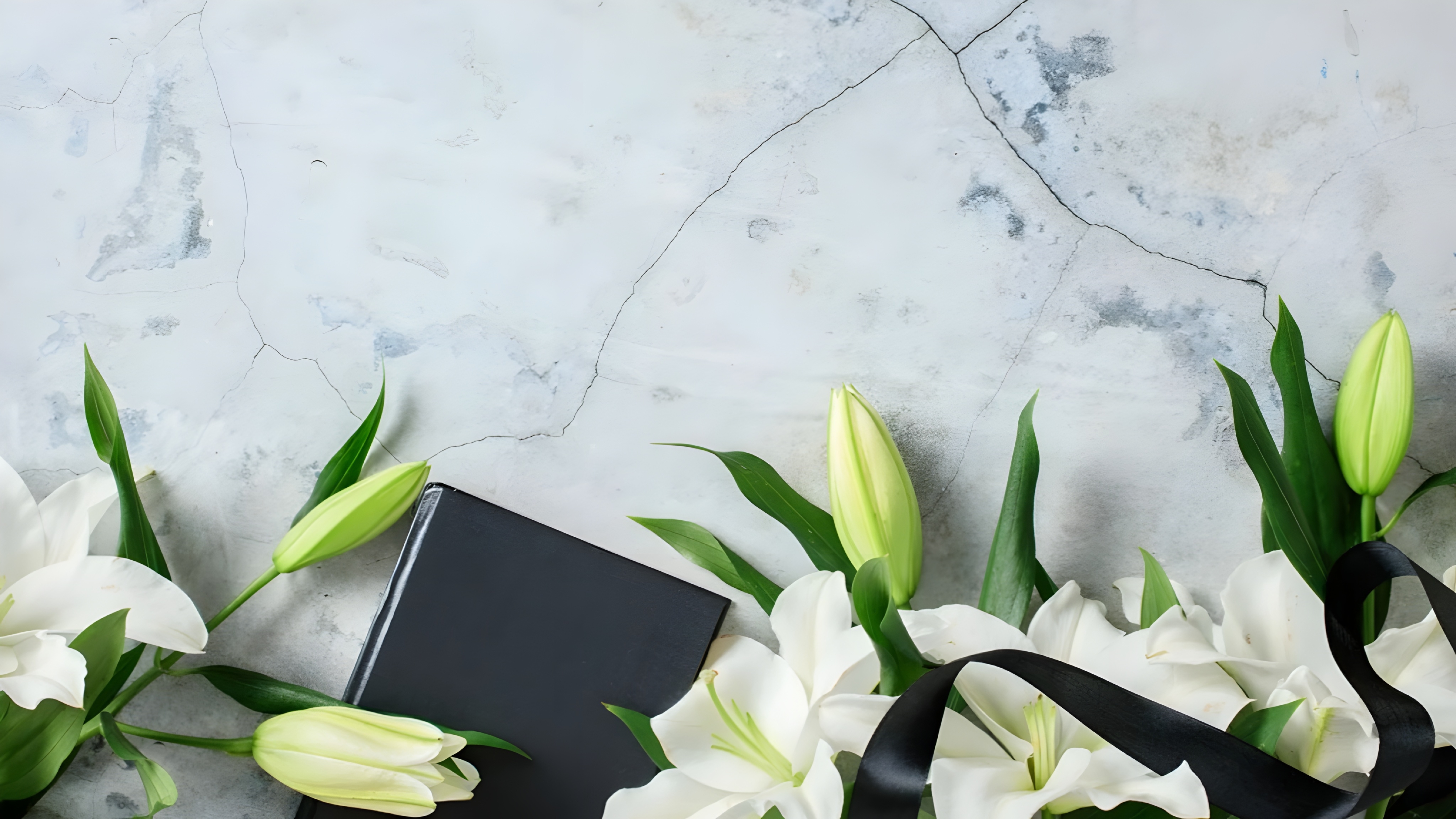 dog show in dehradun